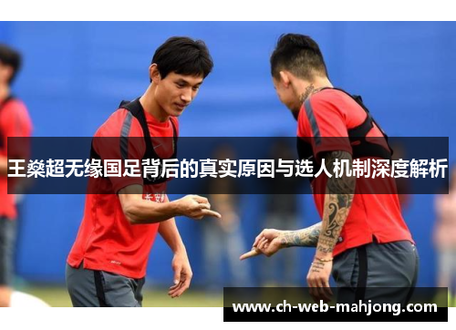 王燊超无缘国足背后的真实原因与选人机制深度解析