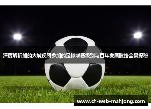 深度解析加的夫城现所参加的足球联赛级别与百年发展脉络全景探秘