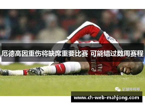 厄德高因重伤将缺席重要比赛 可能错过数周赛程 厄德高因重伤将缺席重要比赛 可能错过数周赛程